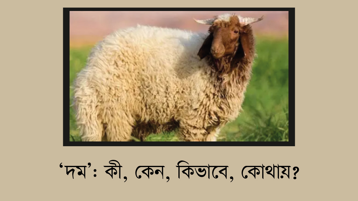 ‘দম’: কী, কেন, কিভাবে, কোথায়?